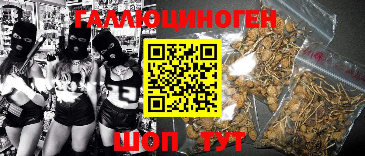 Псилоцибиновые грибы мухоморы Людиново