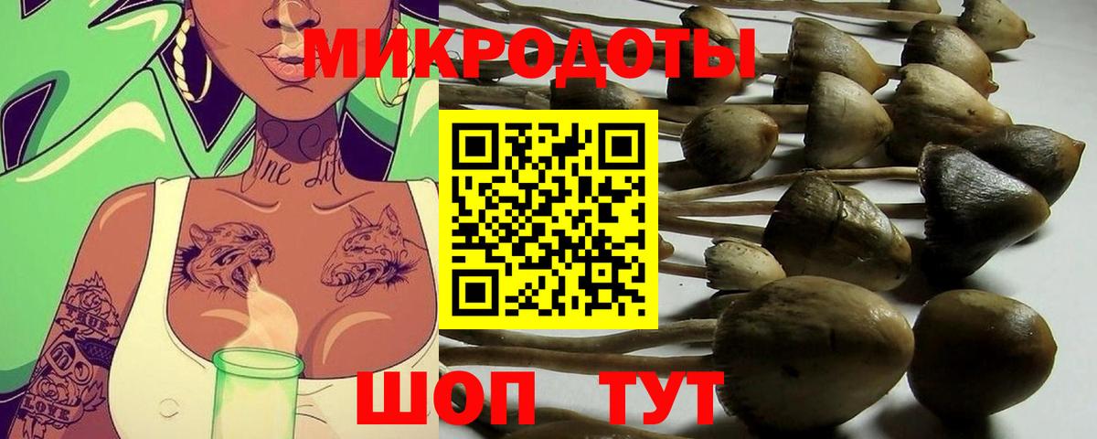 Людиново  Псилоцибиновые грибы GOLDEN TEACHER  Вход с VPN 
